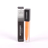 AMRIJ #10 HIGH DEFINITION CONCEALER