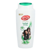 LIFEBUOY SHAMPOO HERBAL STRONG AND LONG 650 ML