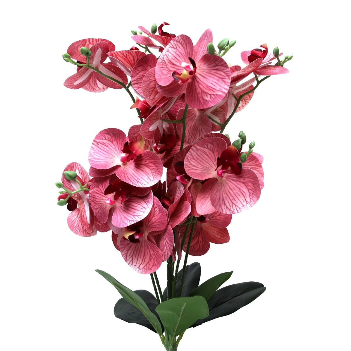 GLUE ORCHID PINK Z-6 GLUE ORCHID PINK Z-6