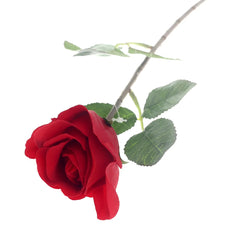 SINGE ECUADOR ROSE 1F 6LVS (V1P156) Unspecified