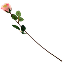 SINGE ECUADOR ROSE 1F 6LVS(V1R72)Unspecified