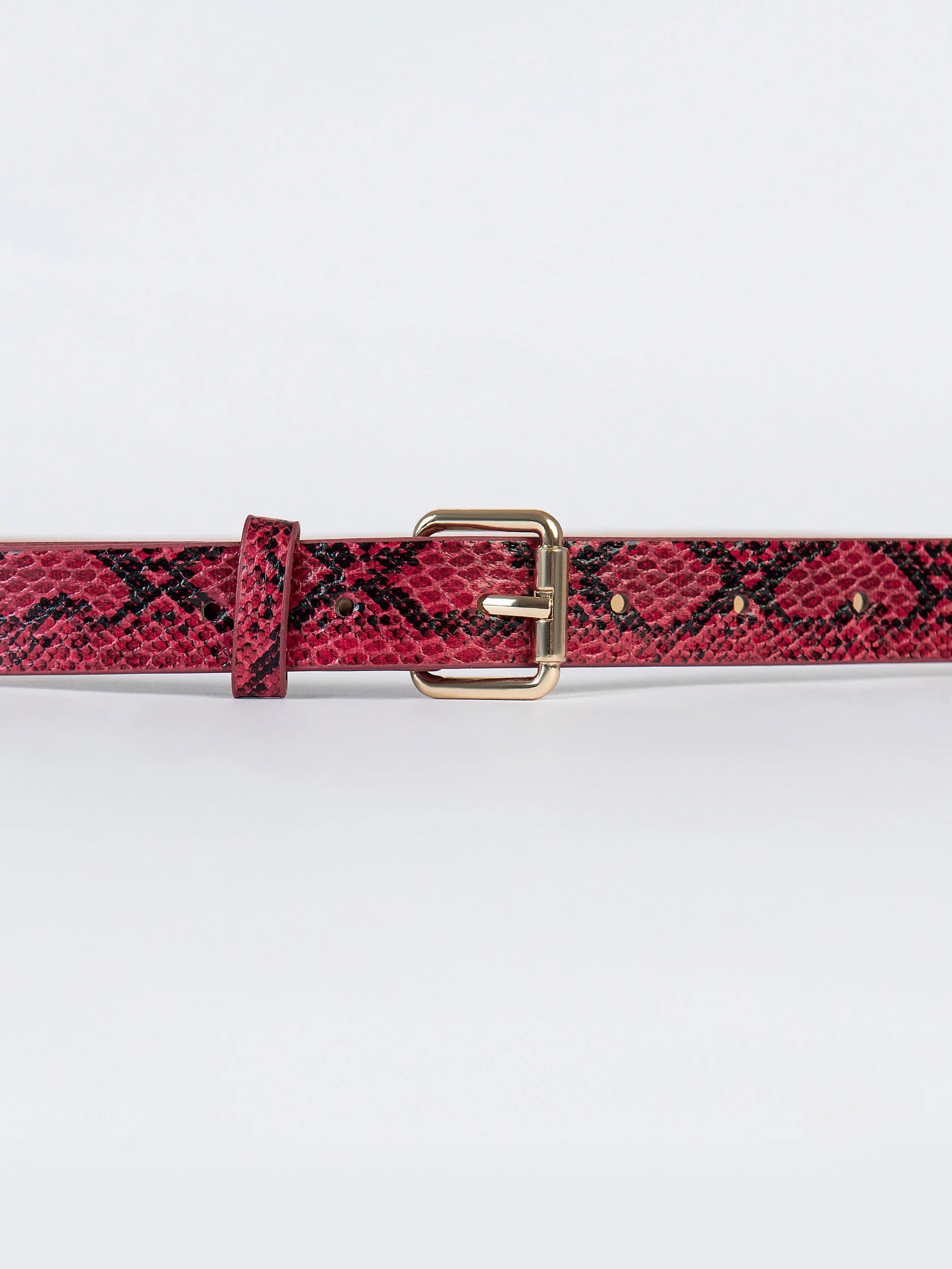 Snake Textured Belt Snake Textured Belt