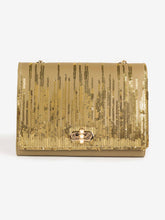 Sequin Embroidered Clutch