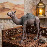 Desert Majesty Camel Sculpture