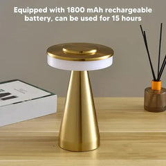 Portable LED Desk Lamp With 3 Modes