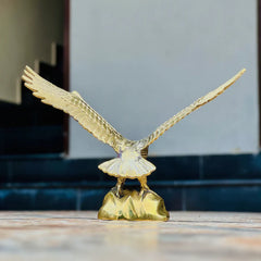 Realistic Golden Brass Eagle
