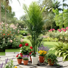 Tropical Breeze Plant