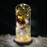 Wireless LED String Light Glass Dome With Flower