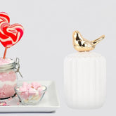 Tiny Animal Creatures Storage Jars