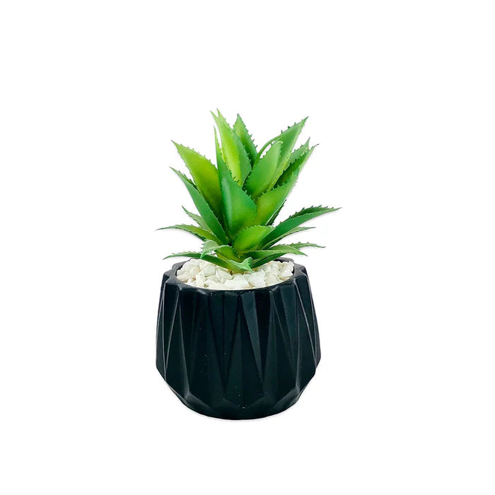 Matt Black Tri Texture Pots Planter Matt Black Tri Texture Pots Planter