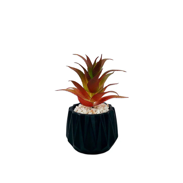 Matt Black Tri Texture Pots Planter Matt Black Tri Texture Pots Planter