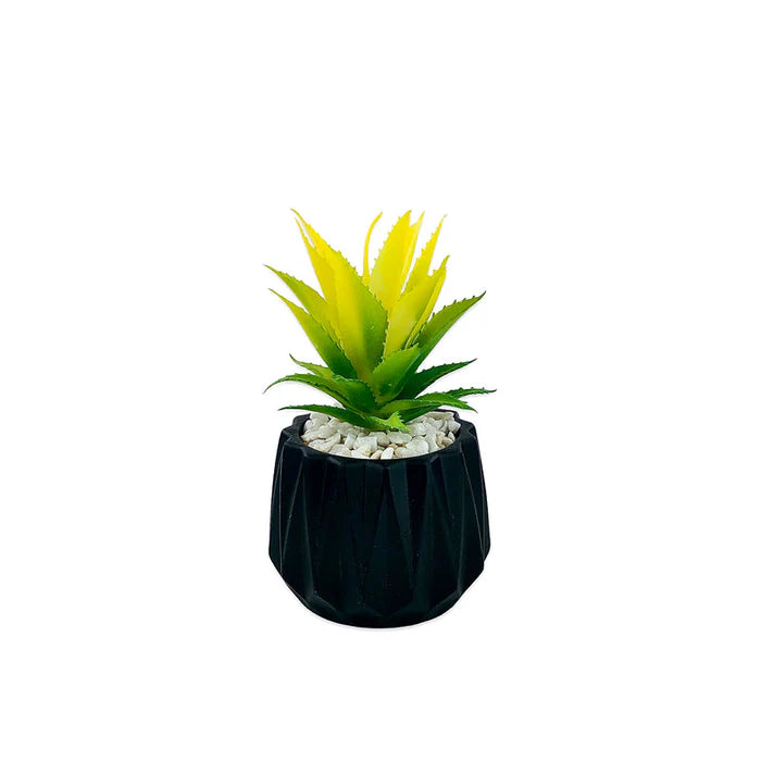 Matt Black Tri Texture Pots Planter Matt Black Tri Texture Pots Planter