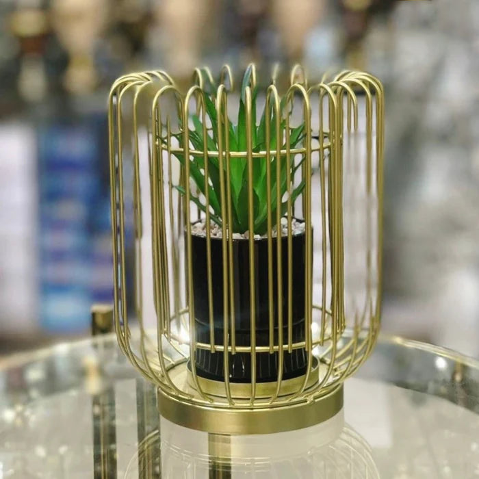 Metal Cage With Ceramic Vase