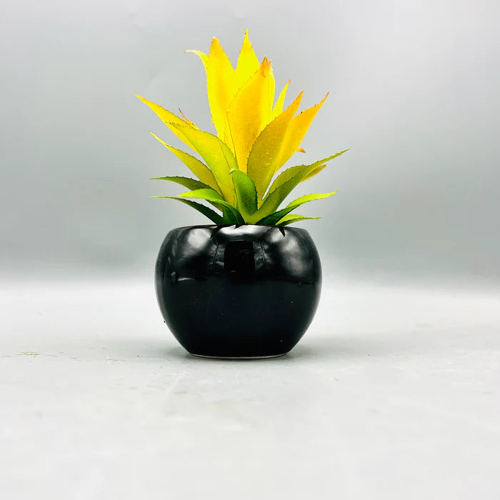 Yellow Plant & Pot