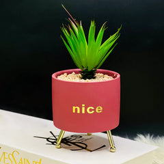 Tripod Stand Pot Planter