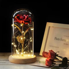 Fairy LED Elegant Home Decor