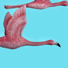 Flying Flamingo Wall Decor (5 Pcs Set)