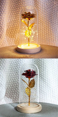 Fairy LED Elegant Home Decor