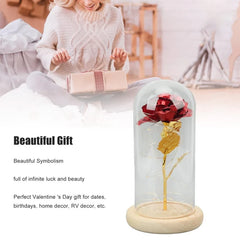 Fairy LED Elegant Home Decor