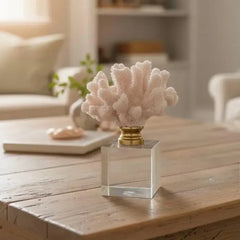 Acrylic Base Brass Finish Coral Decor