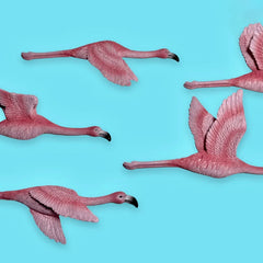 Flying Flamingo Wall Decor (5 Pcs Set)