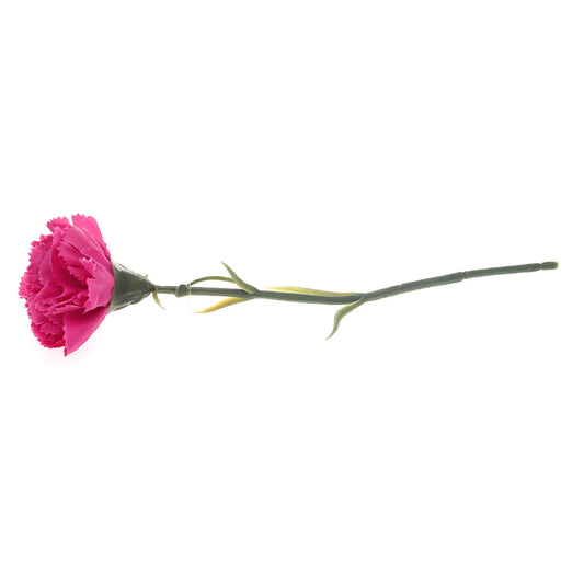 Carnation Single Flower Unspecified