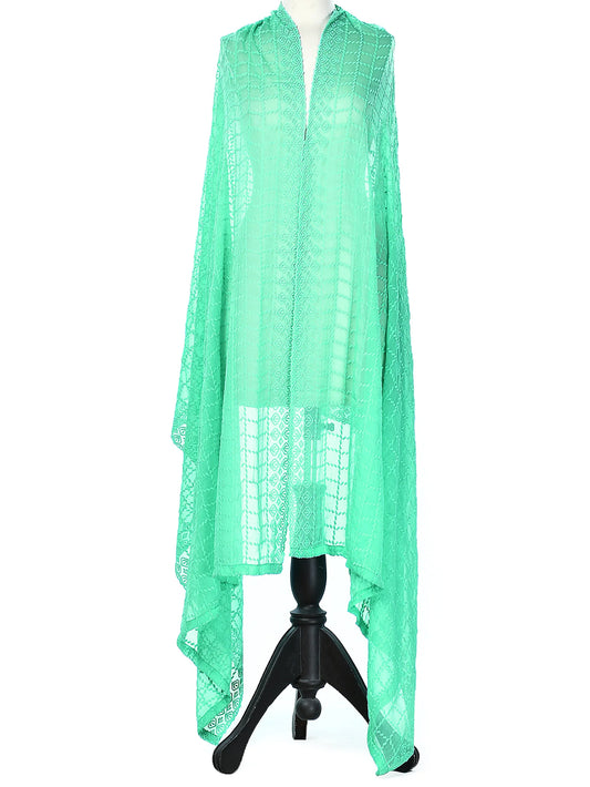 Embroidered Chiffon Dupatta - Ferozi