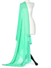 Embroidered Chiffon Dupatta - Ferozi