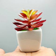 Tiny Crimson Plant & Pot