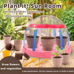 Plant Grow Sun Room Toy For Kids