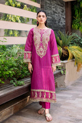 2 Piece - Embroidered Zari Suit P1036