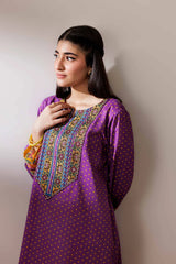 Printed Embroidered Shirt - PS25-200