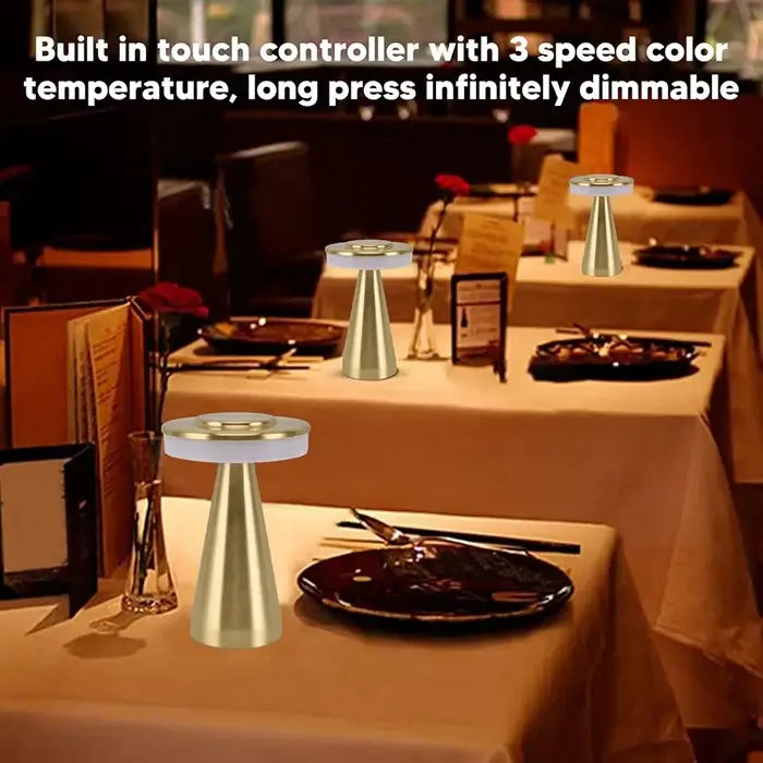 Portable LED Desk Lamp With 3 Modes