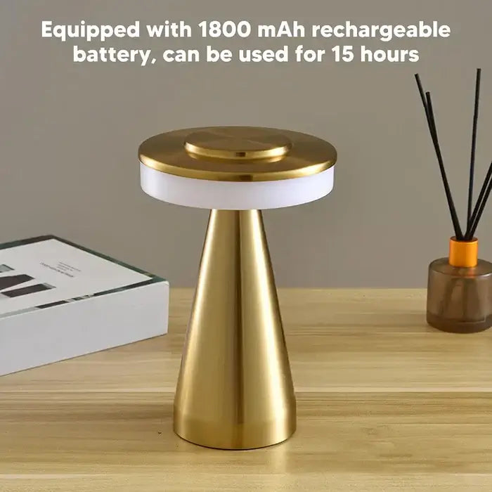 Portable LED Desk Lamp With 3 Modes