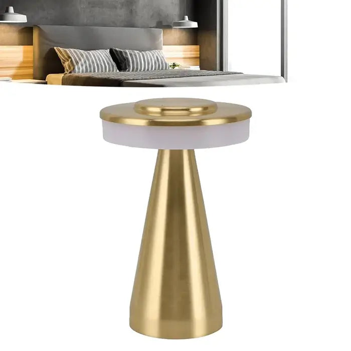 Portable LED Desk Lamp With 3 Modes