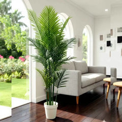 Tropical Breeze Plant