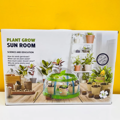 Plant Grow Sun Room Toy For Kids