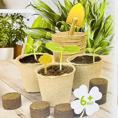 Plant Grow Sun Room Toy For Kids