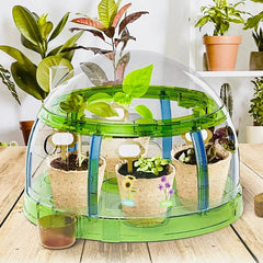 Plant Grow Sun Room Toy For Kids